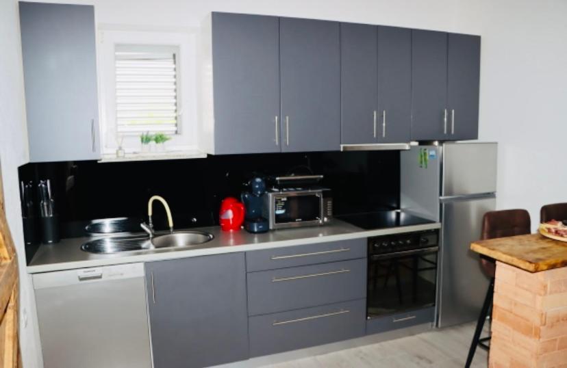 Iva Apartman Sa Bazenom Donji Zemunik 外观 照片